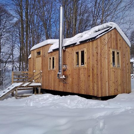 Celorocni Glamping V Pohodlnem Domecku Villa Výprachtice Eksteriør bilde