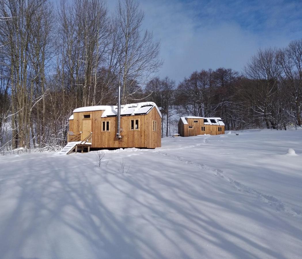 Celorocni Glamping V Pohodlnem Domecku Villa Výprachtice Eksteriør bilde